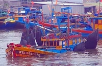 Truy tìm phương tiện va tàu cá Bình Thuận rồi rời đi