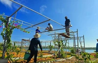 Tháo dỡ công trình xây dựng vi phạm hành lang bảo vệ thắng cảnh Bàu Trắng
