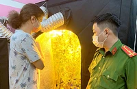 Nhiều người nước ngoài thuê nhà trồng cần sa trái phép tại Bình Thuận