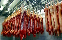 Bình Thuận: Hơn 50 cảnh sát khám xét trang trại nghi có dịch tả lợn châu Phi