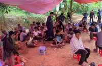 Triệt phá tụ điểm đá gà ăn tiền trong rừng giáp ranh Bình Thuận-Lâm Đồng