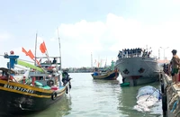 Tìm được thi thể thuyền viên sau 2 ngày rơi xuống biển ở Phan Thiết