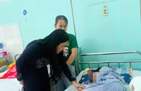Đánh hội đồng bạn, 8 nữ sinh lớp 7 ở Bình Thuận bị nhà trường kỷ luật