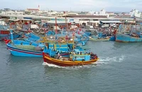1 công ty ở Bình Thuận khai thác không phép hơn 100.000 m3 cát nhiễm mặn