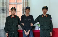 Chủ đi tù, người làm công bứng trộm 26 cây gỗ giáng hương đem bán