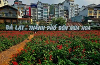 Đánh giá tác động khi sáp nhập 3 tỉnh Lâm Đồng, Đắk Nông, Bình Thuận