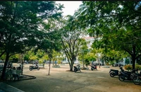 Vụ bỗng dưng hạ bậc lương của giáo viên hợp đồng: Tỉnh Bình Thuận chỉ đạo khẩn