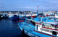 Đặc khu Phú Quý: Bến đỗ bình yên và khát vọng vươn mình