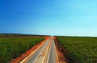 Lâm Đồng quyết tâm gỡ nút thắt, khơi thông vốn đầu tư công