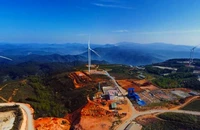 Báo động nạn lấn chiếm, xây nhà trái phép trong rừng phòng hộ Lâm Viên