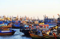 Lâm Đồng: Trung tâm đăng kiểm chưa có con dấu khiến 789 tàu cá không thể đăng kiểm lại 
