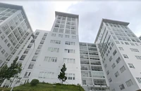 Sở Nông nghiệp và Môi trường Lâm Đồng dôi dư đến 74 phó phòng