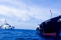 Lâm Đồng: Siết chặt, không để 'tàu ma' tồn tại 