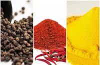 Tăng cường giám sát ớt khô, hồ tiêu, bột nghệ