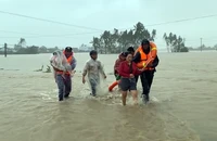 Lũ càn quét Lâm Đồng làm 5 người tử vong, thiệt hại hơn 1.000 tỉ đồng