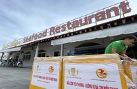 Cả nước yêu thương, ôm miền Trung vào lòng