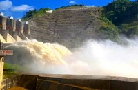 Lâm Đồng: Kiên quyết tạm dừng hồ sơ vận hành hồ chứa của Thủy điện Đồng Nai 5