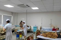 Nem chua, thịt xá xíu là 'thủ phạm' khiến 71 người bị ngộ độc thực phẩm