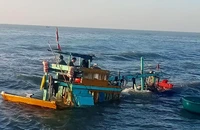 Bao giờ chấm dứt nước mắt đổ ở cửa biển La Gi?