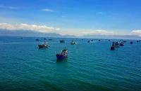 Công khai số liệu cán bộ bị kỷ luật trong cuộc chiến chống IUU