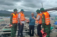Video: Đến từng lồng bè đưa dân vào bờ tránh bão số 13