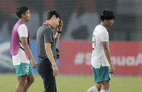 HLV Shin Tae-yong: ‘Việt Nam và Thái Lan sợ Indonesia’ 