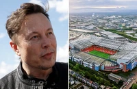 Elon Musk đang mua Manchester United 