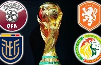 Tất cả thông tin về bảng A World Cup 2022: Mane vẫn góp mặt