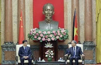 Chủ tịch nước Tô Lâm tiếp lãnh đạo, đoàn đại biểu Trung Quốc, Nhật Bản, Lào