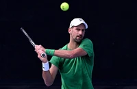 Djokovic từ chối yêu cầu của Messi vì lo sợ mất tất cả