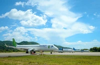 Máy bay của Bamboo Airways va phải chim, 8 chuyến bay bị hủy