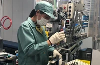 Nhật Bản mở cửa tiếp nhận thực tập sinh Việt Nam