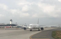 Sân bay Nội Bài, Tân Sơn Nhất tăng cường việc xua đuổi chim