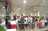Hàng không Việt kiếm bộn tiền tháng tết
