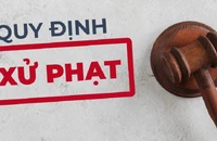 4 công ty xuất khẩu lao động bị phạt gần 600 triệu đồng