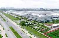 Đầu năm 2024, vốn FDI vào bất động sản tăng mạnh
