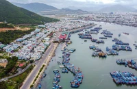 Hàng trăm tàu thuyền neo đậu trong cảng cá Hòn Rớ để bán hải sản vừa đánh bắt.