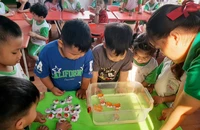 TP.HCM hỗ trợ cho hơn 5.200 trẻ mầm non và giáo viên theo Nghị quyết 27