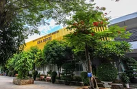 Lùm xùm giải Genius Olympiad: Trường THPT Gia Định xem xét xử lý giáo viên tham gia
