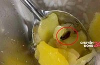 Vụ bữa ăn tại Đại học Bách Khoa Hà Nội: Phó Thủ tướng chỉ đạo xử lý nghiêm