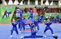 TP.HCM sẽ tổ chức đồng diễn võ nhạc Vovinam vào tháng 11