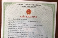 Chính thức triển khai cấp giấy khai sinh trực tuyến cho người Việt Nam tại nước ngoài