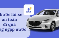 Infographic: 8 bước quan trọng khi lái xe qua vùng ngập nước