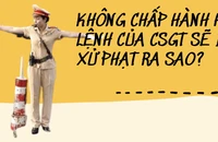 Tước bằng lái xe đến 3 tháng nếu không tuân theo hiệu lệnh của CSGT