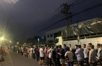 Tài xế vẫn thức trắng đêm để nộp sổ đăng kiểm xe ô tô