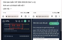 Sau khi trúng biển số ô tô siêu đẹp, người đấu giá có được rao bán lại với giá cao hơn?