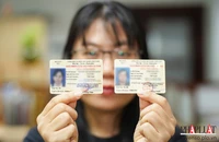 Mỗi người dân chỉ có 1 số giấy phép lái xe và chỉ in thẻ PET khi có nhu cầu