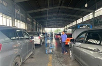 Vừa mất tem kiểm định và sổ đăng kiểm có xin lại được cả hai?