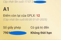 Chưa bị trừ hết 12 điểm giấy phép lái xe thì khi nào được phục hồi lại?