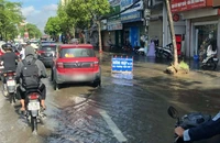 Xe điện bị ngập có gây điện giật không?